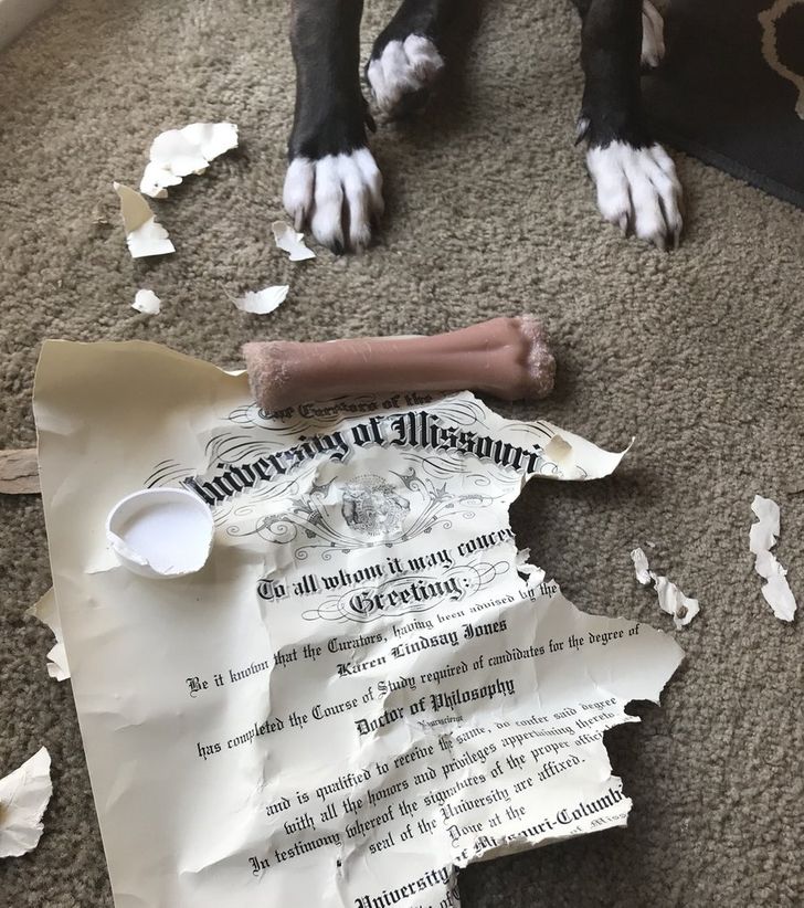 2a41ef5a36a9862f18840d8360