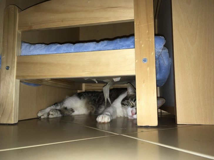 2a488457ee92149b1b8fa84c26