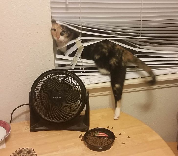 2a4a4355d9af02da5dde6793a2