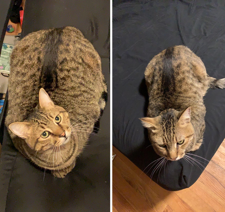 2a4d9852549e84a0589aec5207