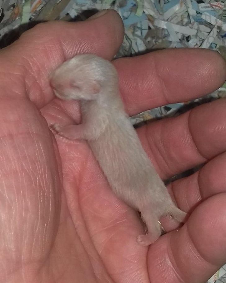 2a50ad58478cf61fe29c7e4e70