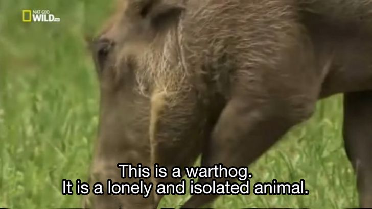 2a586a5dd9bbef5d3e0e0eea41