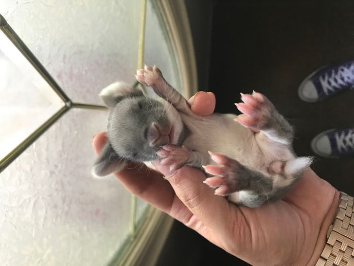 2a5c52518699da18a3763b8327