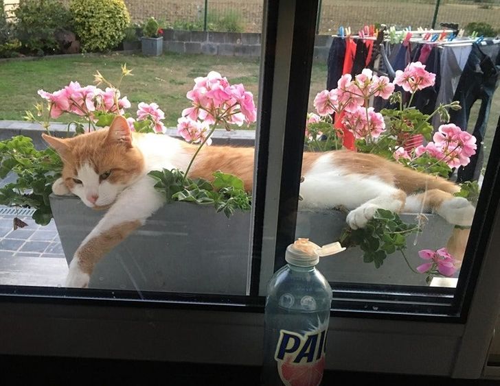 2a5d0153d2994adc2542a2bcac