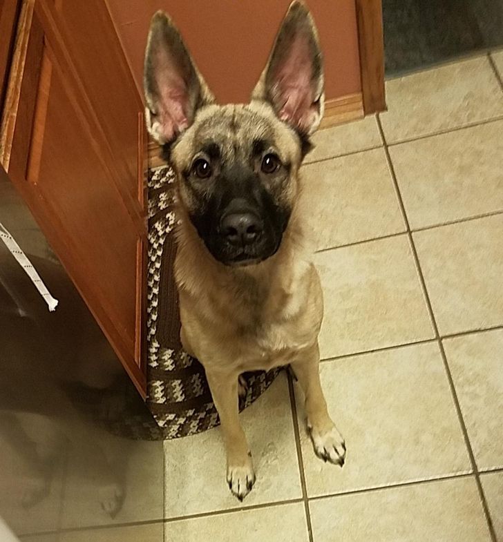 2a6d325439aa1f030695efe2b8