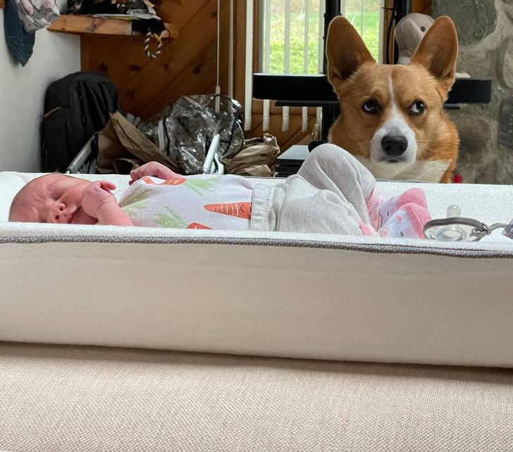 2a74b35d5eb9bac780950fe0a4 2a74b35d5eb9bac780950fe0a4