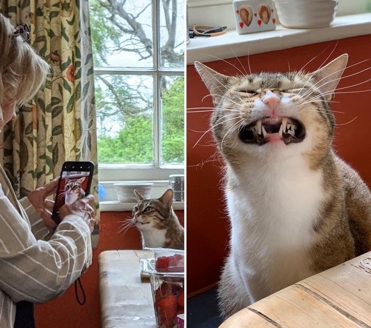 2a7aaa584b9e329892116237dc