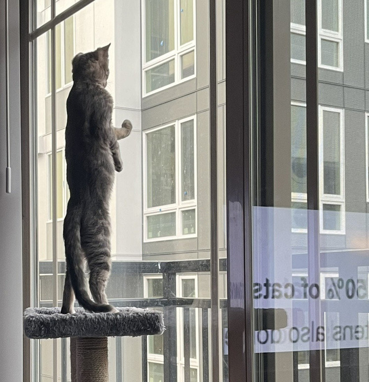 2a7af551aaab4f85c3a36e38f5 2a7af551aaab4f85c3a36e38f5