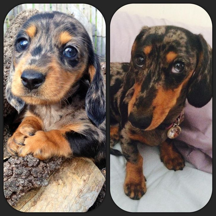 2a8470573baacd5da644836cd6