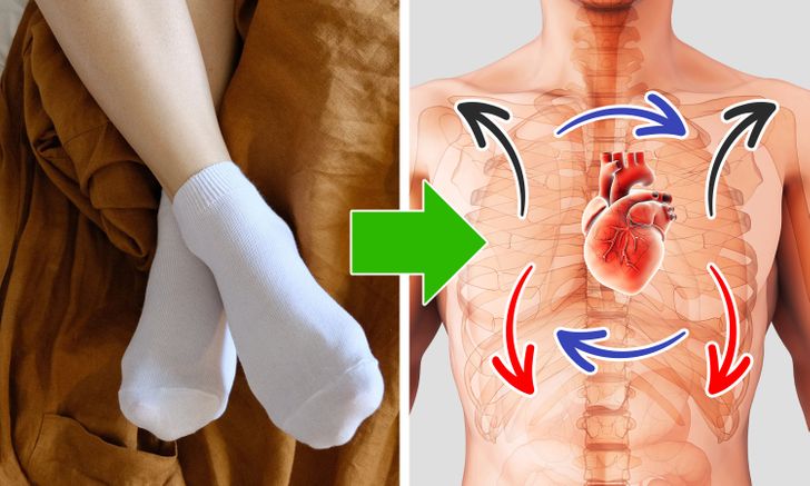 2a85065b3faed7e56626a6fe0a