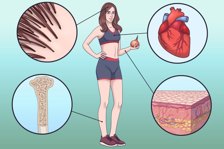 2a88d65c209a3f4e3ea7ddfb7e