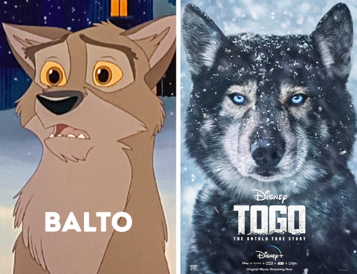 2a8f59546c8990e14b974a7ae8