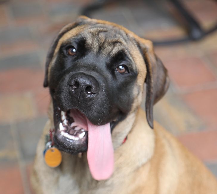 2a90925664bed6abe3433d228f