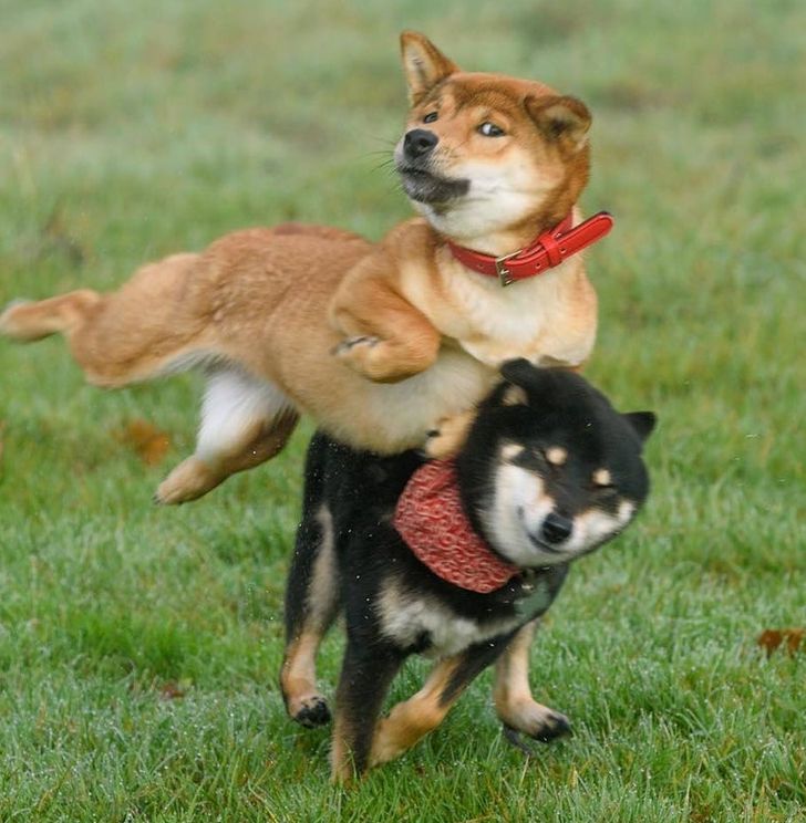 2a930b5591a44d1e9e2e1407bd