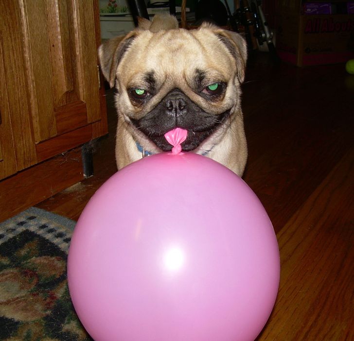 2a94765261b16eb3e9eaeaca72