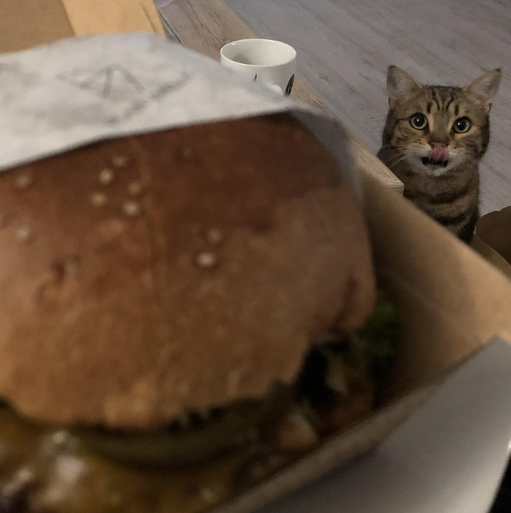 2aa54f5a71a66f75dc2a406a22