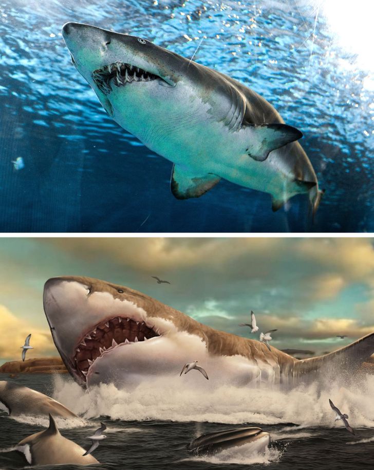 2aac245242b7b3a6dd52bc4f1d