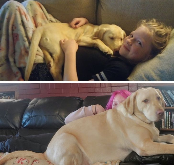 2ab66a5e678a55ade5a2f57176