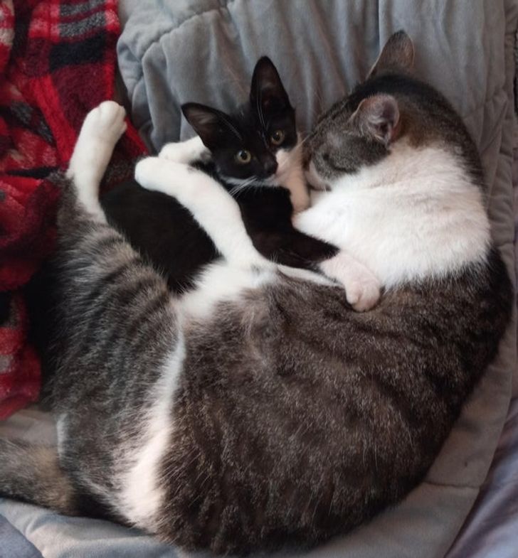 2abb105881b13b1b578cf932fc 2abb105881b13b1b578cf932fc