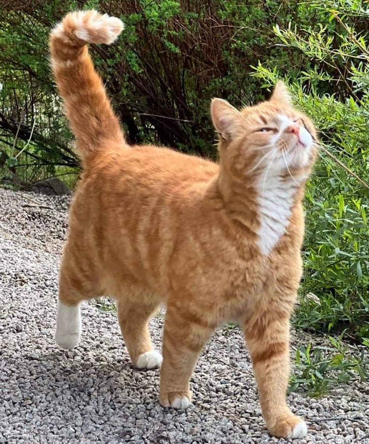 2ac2f65c30932af610df81a3c7