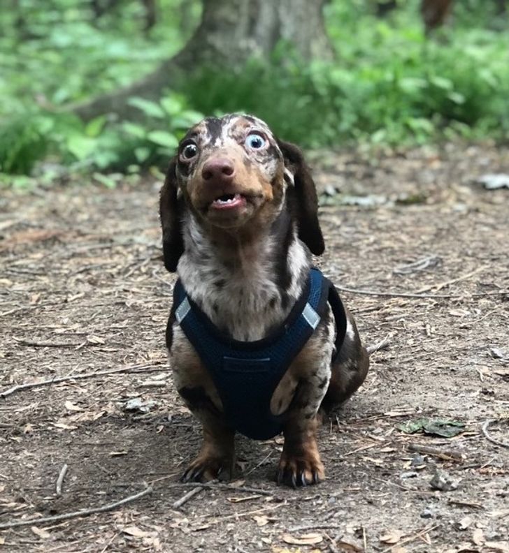 2acfc4580481cb80246901b7c9