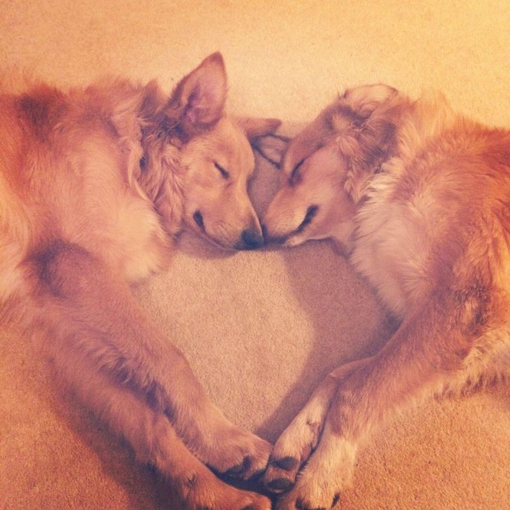 2ad21457298235f615654ce363