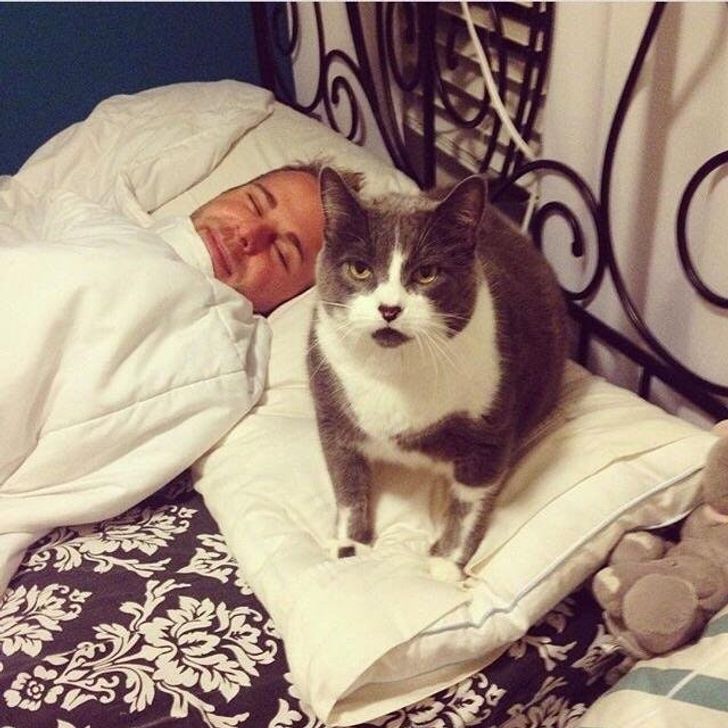 2af2345864b07cc9322041d633