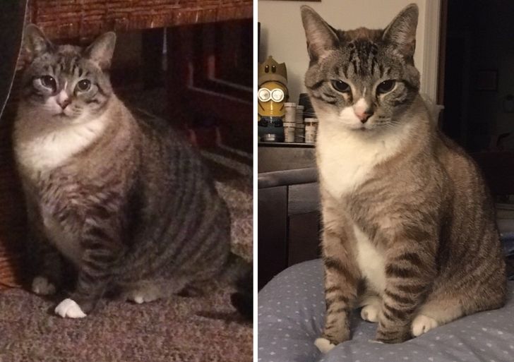 2af2b251a58f9a51ec6f90fff2