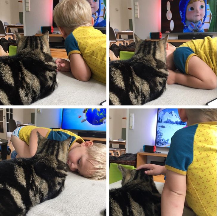 2af346513ea53e5f1d2f1b447b