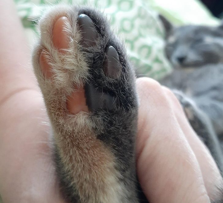 2af7905cc9ad1b015ee60d3e84