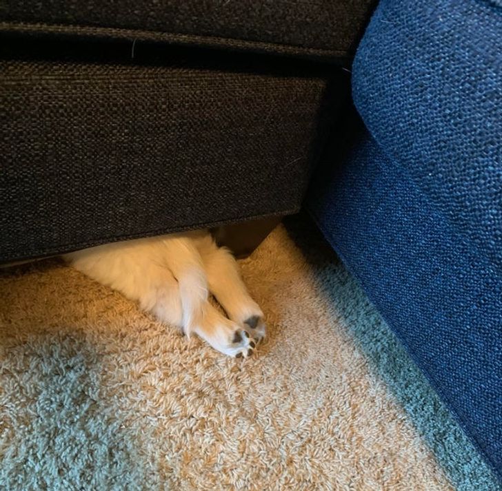 2b052b5c06badeee2a93940fb9