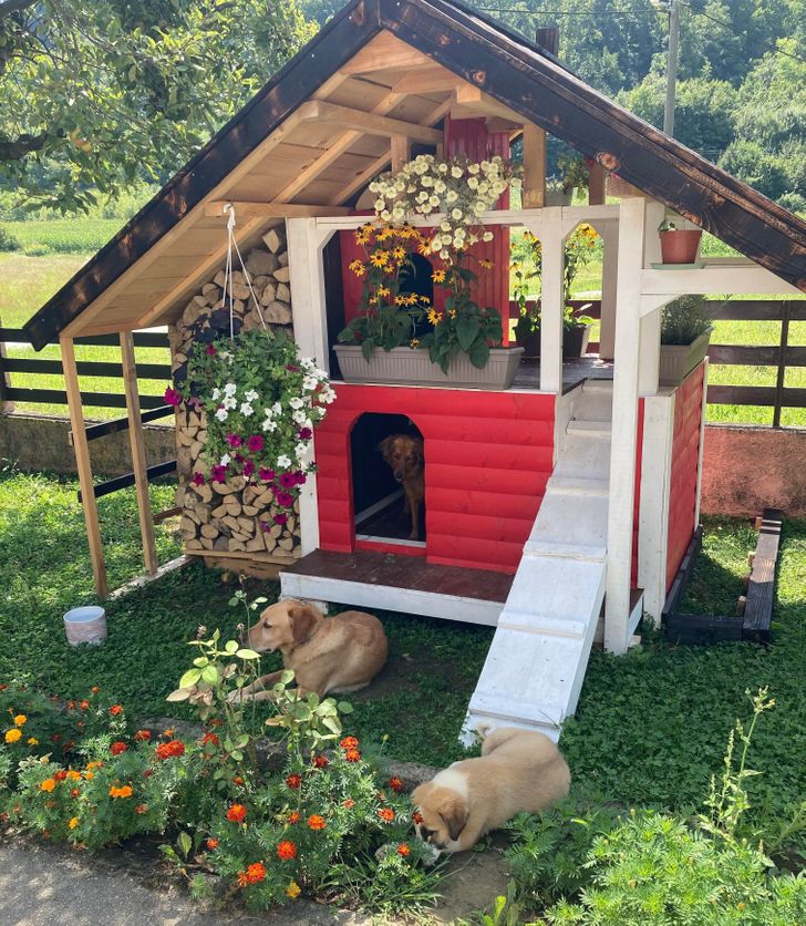 2b060a53d8bcaeddeb0f4e82c2