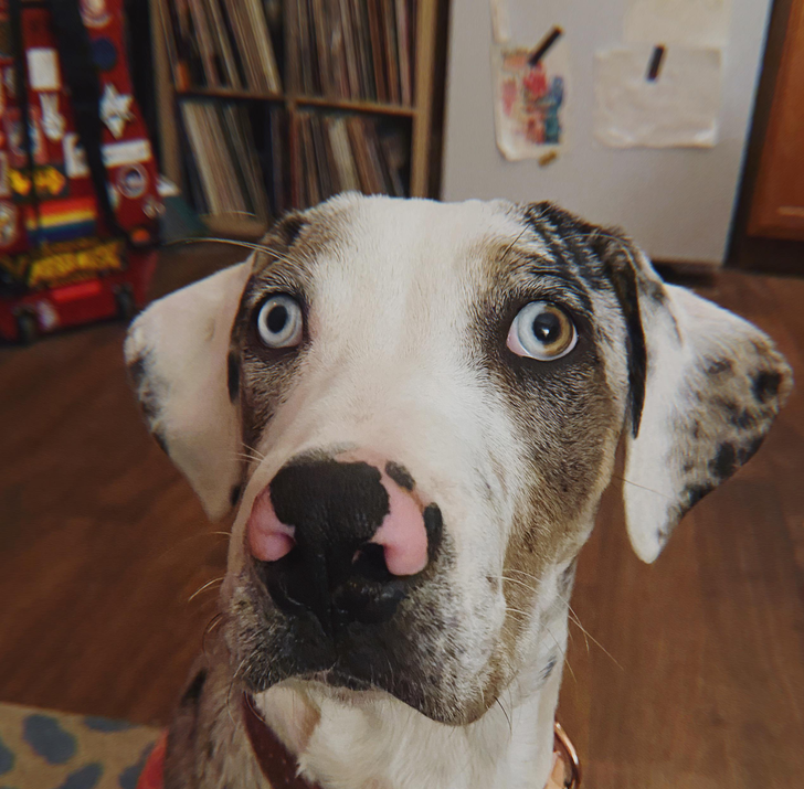 2b098f5bff98a4b90dc0deab21