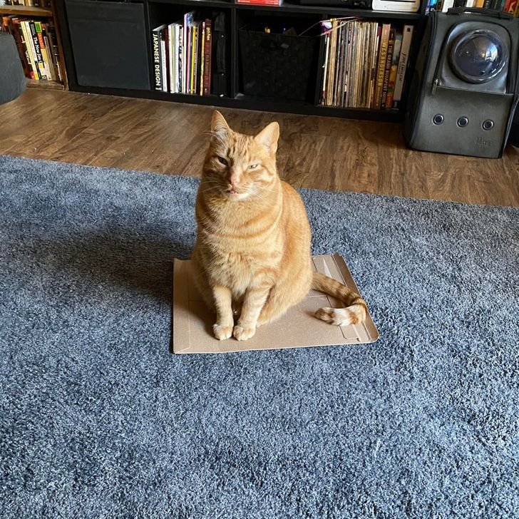 2b0c57500f8316917622d01578