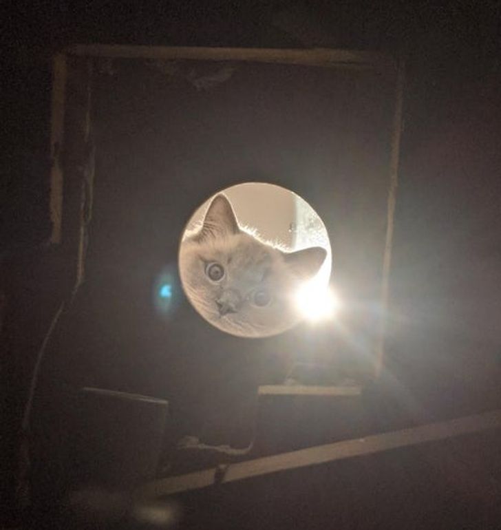 2b18355a12993a4f4051c66b15