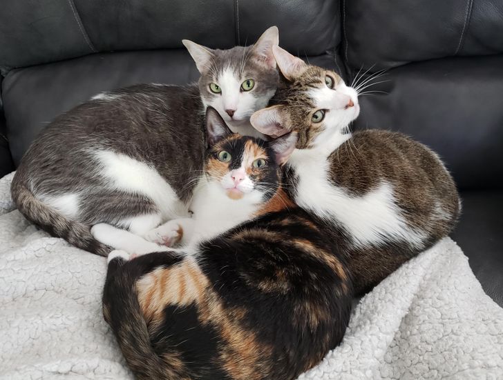 2b1a3158559378b98dce9be895