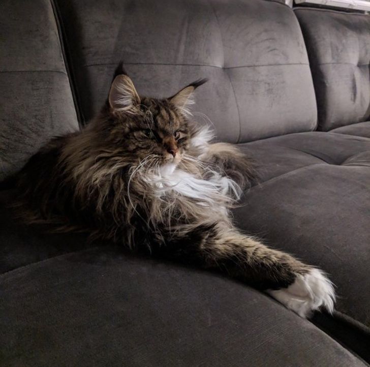 2b2312549294438fb1bde8b87e