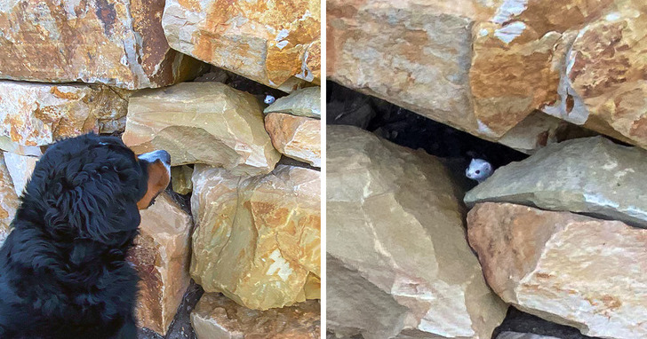 2b270d5f7e891e46a31c5c79e7