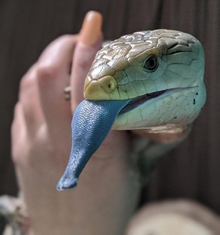 2b2b05550890712f64f80e64fb