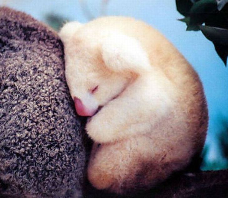 2b2b3452f19368e7133a7b865e