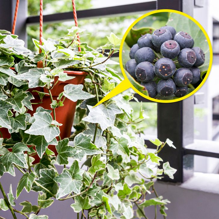 2b32255621a706d0be8363ca37