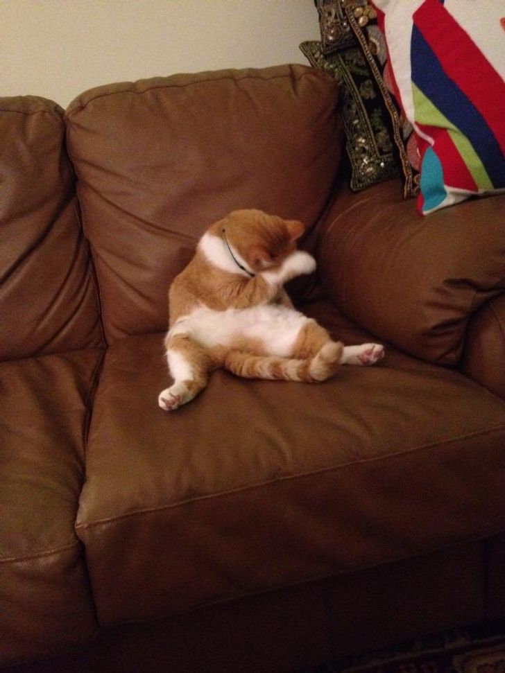 2b335658a880b5b23e684490ef