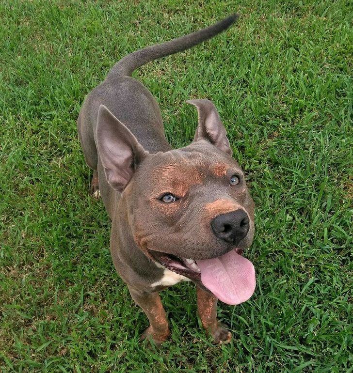 2b3bb65a2f83e3717e13dbf258 2b3bb65a2f83e3717e13dbf258