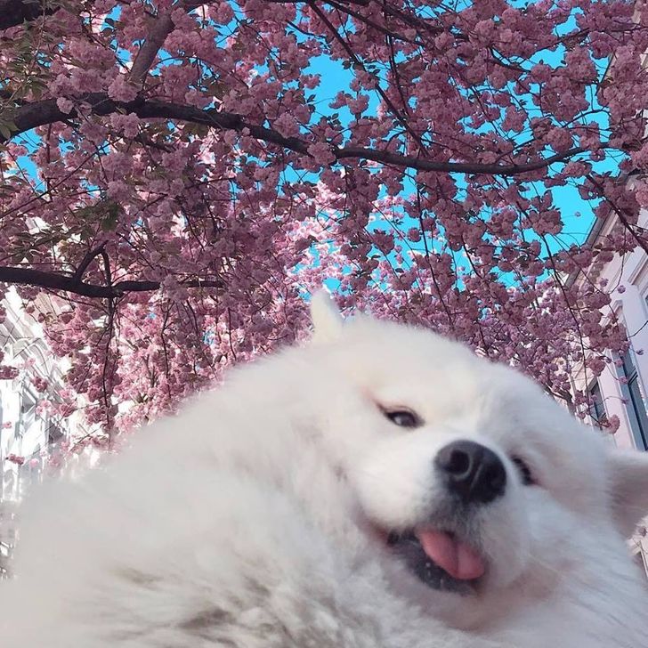 2b3d5d50ed8e9623b80cf8696c