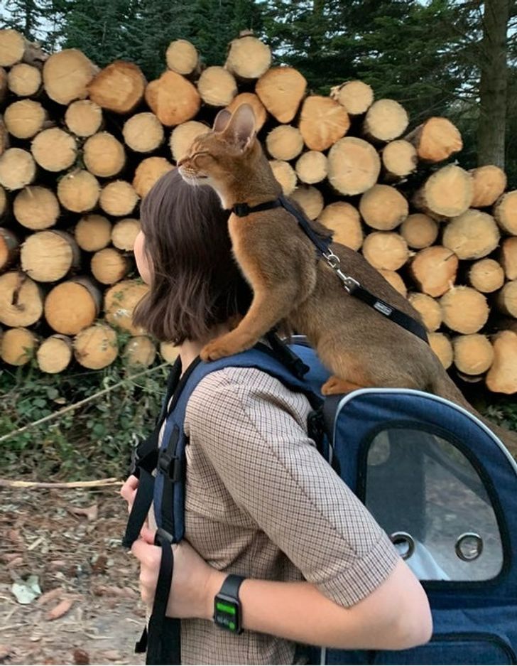 2b3dd55219a9e78a295da2ca89