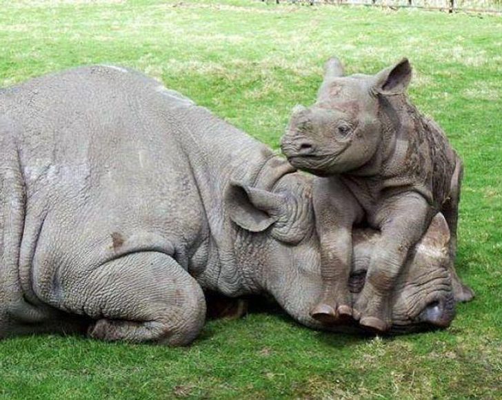 2b48a55512bda32e0b6588e450