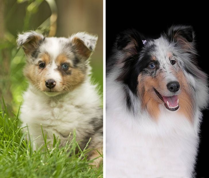 2b4ad659a28ef542852271d02e