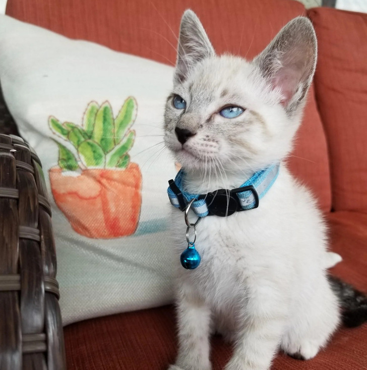 2b50e35d8da0932f4832178c9a