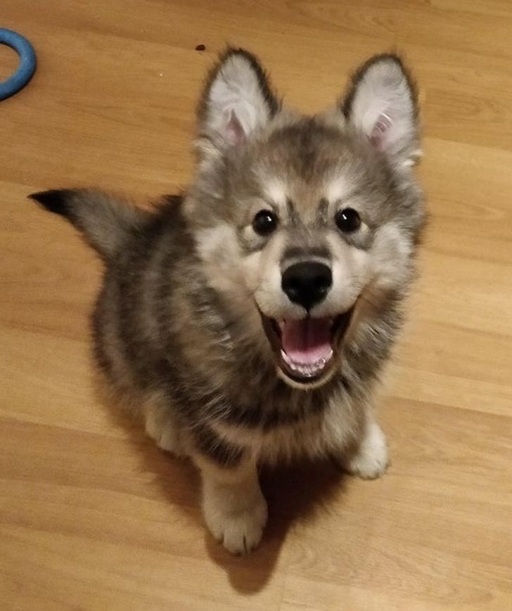 2b5377592dbfbba0014bc3cc4a