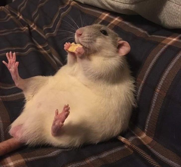 2b56765448a7a96bf6448c7f3e